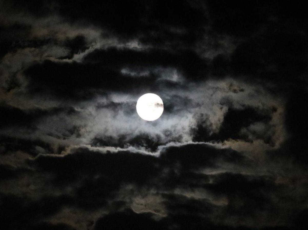 Luna de Ciervo 2026: ¿cuándo será y cómo verla en Honduras?
