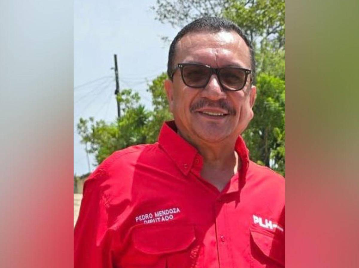 Resultados de diputados en El Paraíso: figuras conocidas están quedando fuera