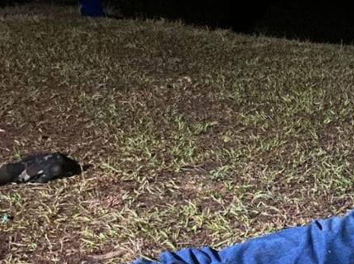 Estuvieron presos: surge hipótesis sobre el asesinato de tres hermanos en Lempira