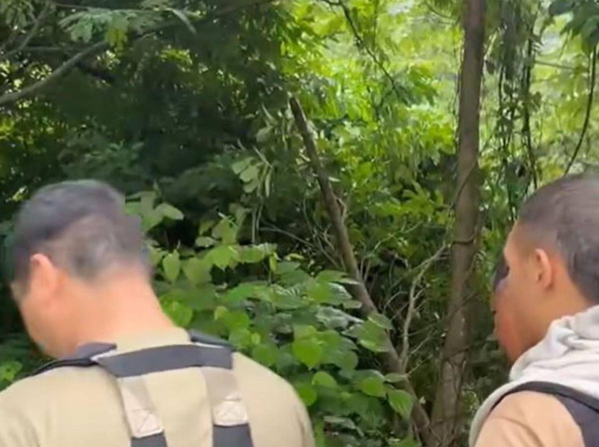 Identifican a conductor que murió al caer 'rapidito' a un abismo en Cofradía