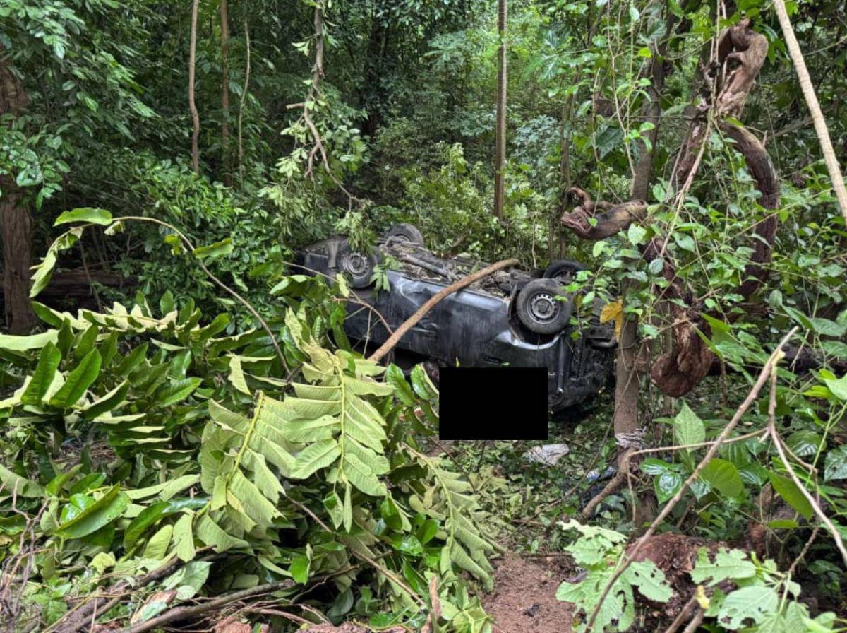 Identifican a conductor que murió al caer 'rapidito' a un abismo en Cofradía