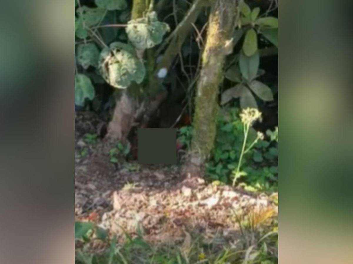 Nunca agarró consejo: padre de uno de los jovencitos ultimados en Colinas