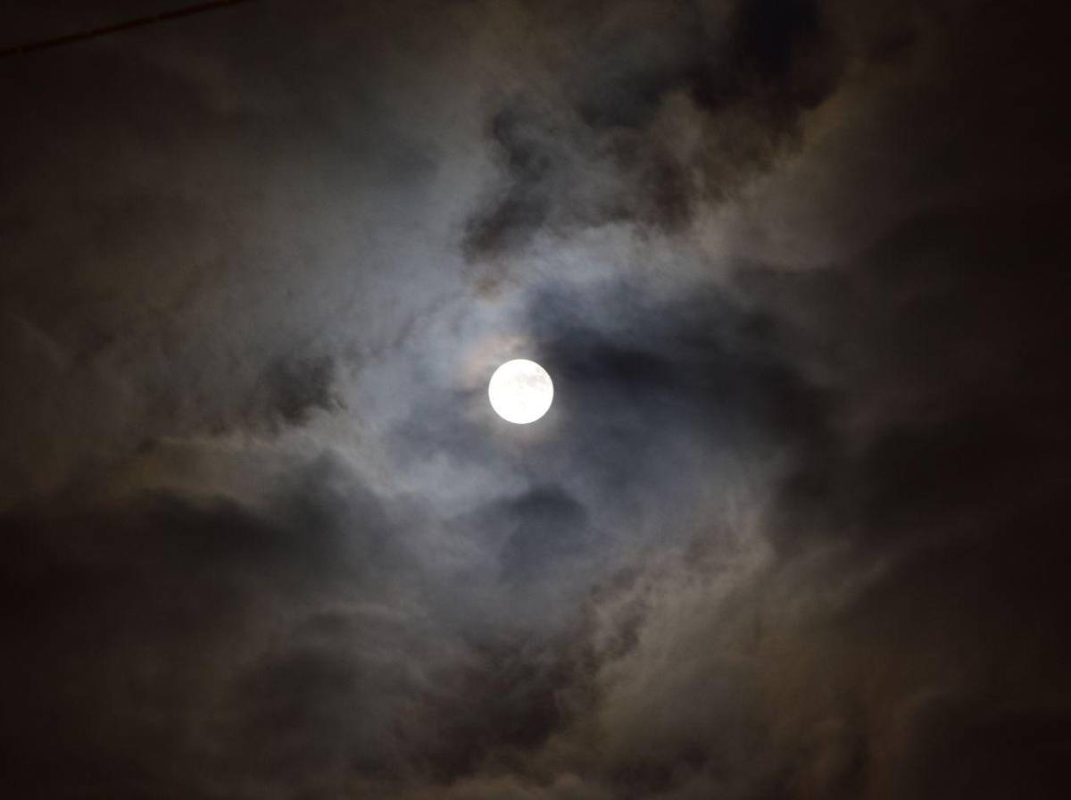 Luna de Ciervo 2026: ¿cuándo será y cómo verla en Honduras?