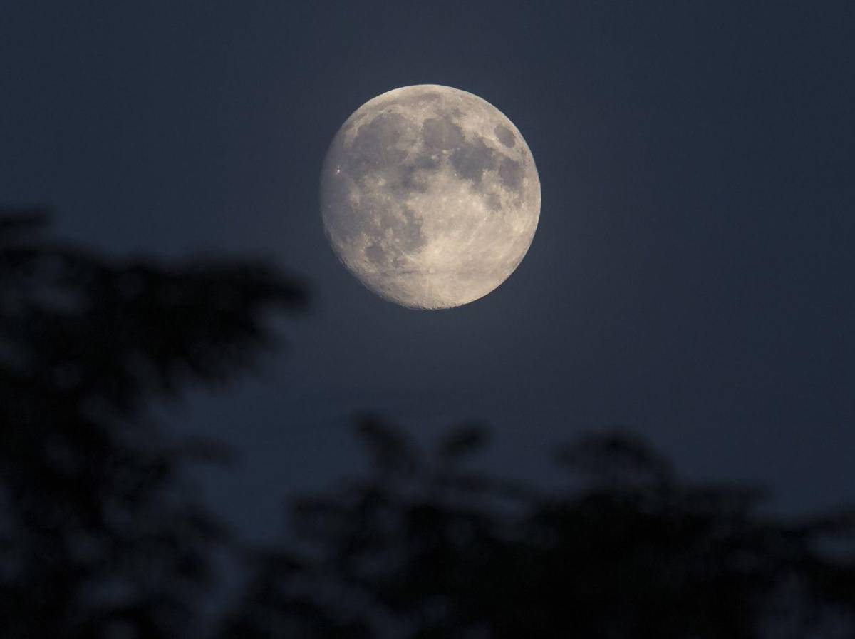 Luna de Ciervo 2026: ¿cuándo será y cómo verla en Honduras?