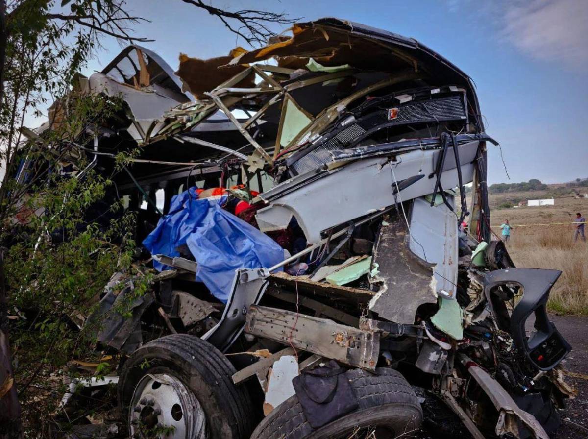 Tragedia en carretera: al menos nueve muertos tras impactar autobús contra un árbol