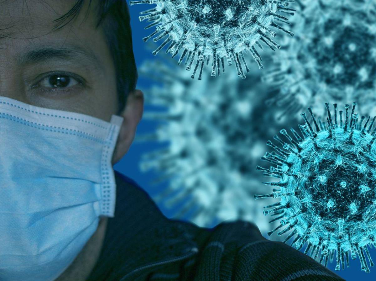 Alerta por hantavirus: qué es, cómo se transmite y cuáles son sus síntomas