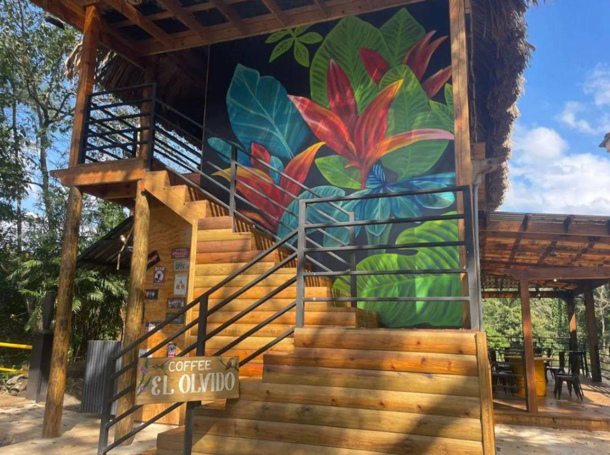 Centro turístico, finca, casas y carros: bienes asegurados a Martín Flores