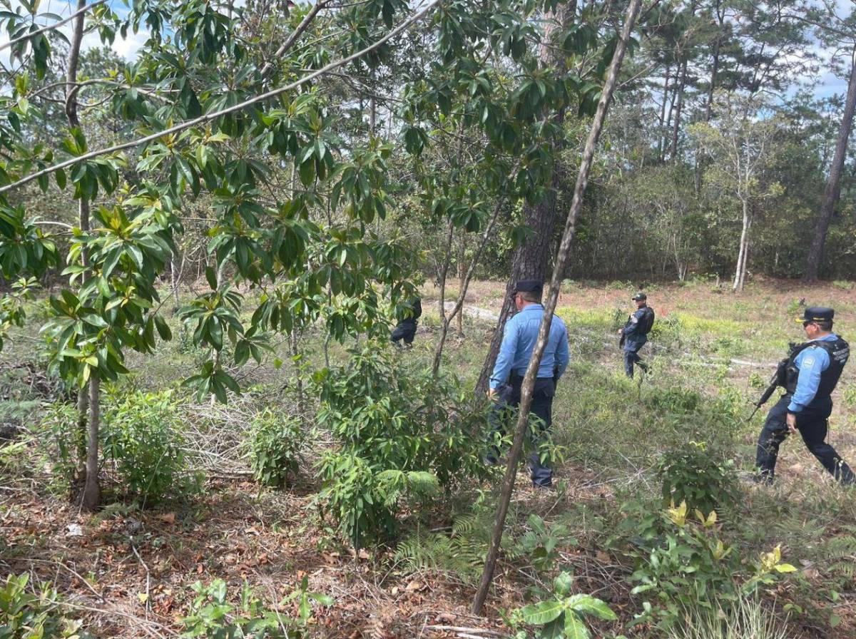 Dantesco: hallan muertos a dos jovencitos en La Campa, Lempira