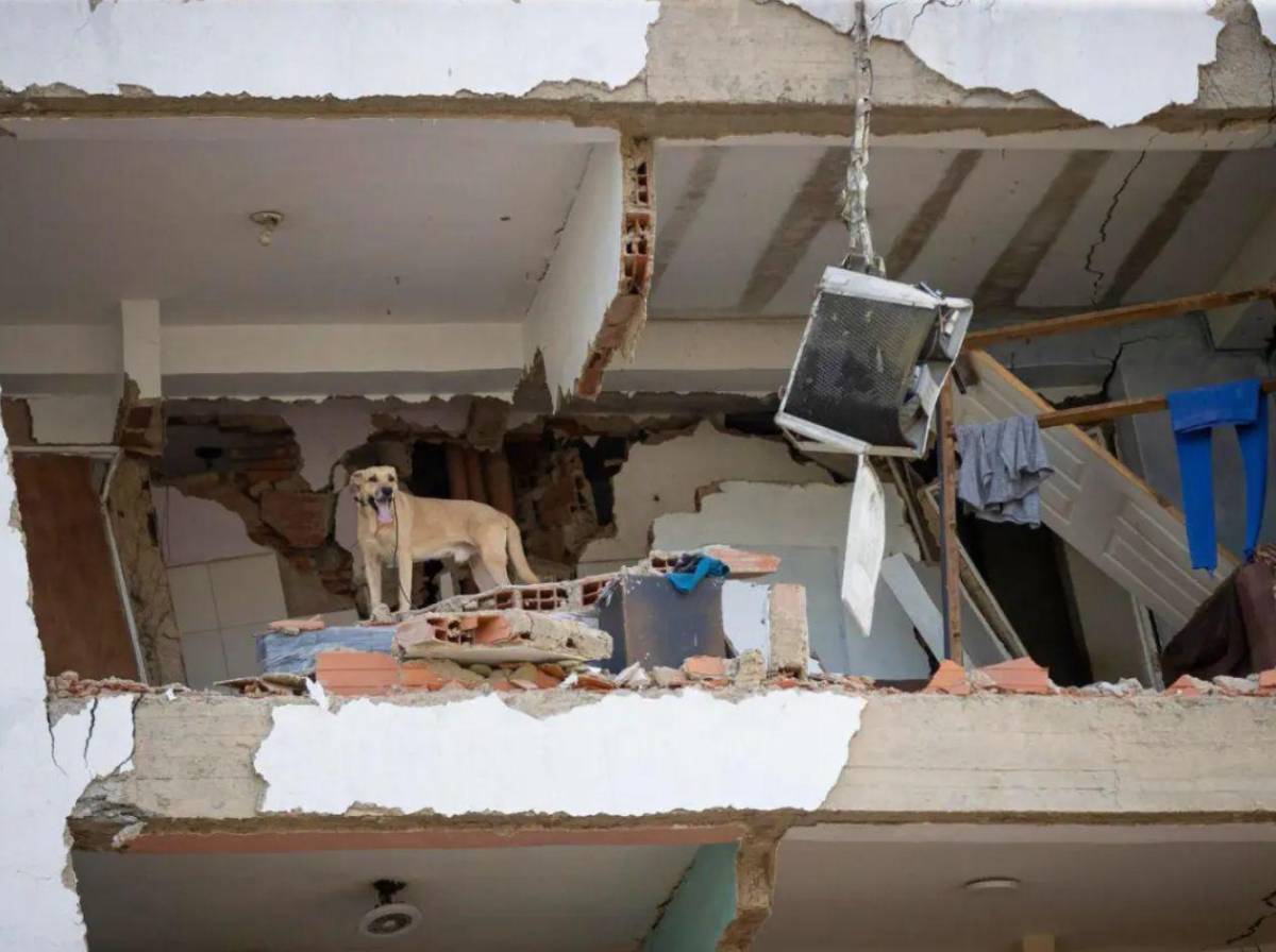 Hallan sin vida a la periodista Melissa De Sousa y sus padres en La Guaira