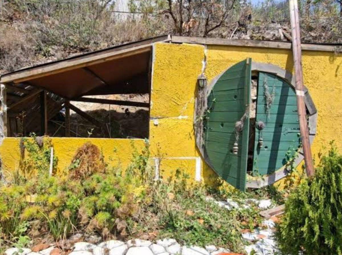 ¿De qué acusan a policía en el caso de la pareja hallada muerta en cabaña de Tatumbla?