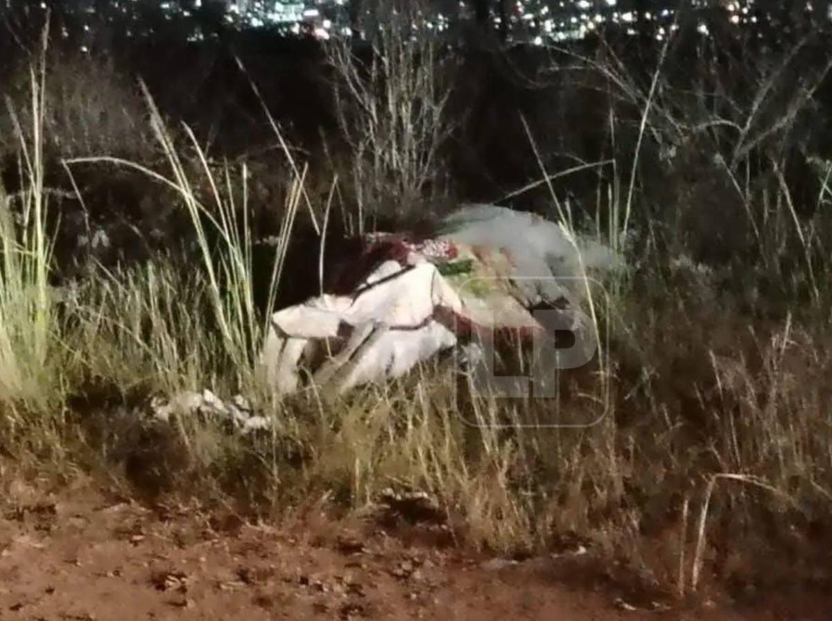 Giro tras hallazgo en carro del doctor Miguel Ángel Salgado