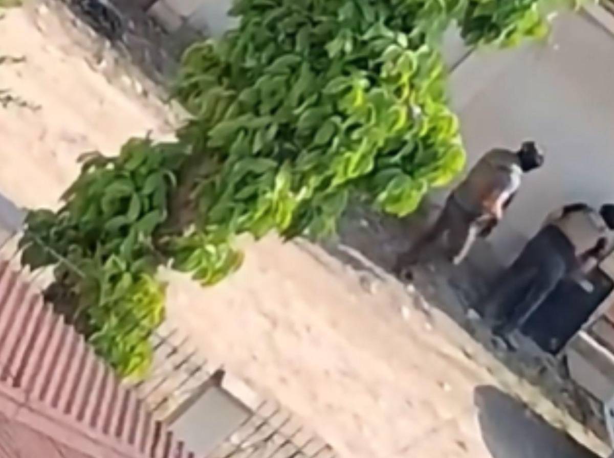 Identifican a policías muertos en el enfrentamiento armado en Corinto, Omoa