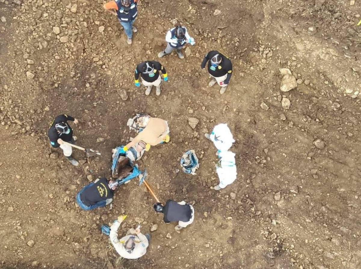 ¿Qué contienen los barriles descubiertos en propiedad de Magdaleno Meza?