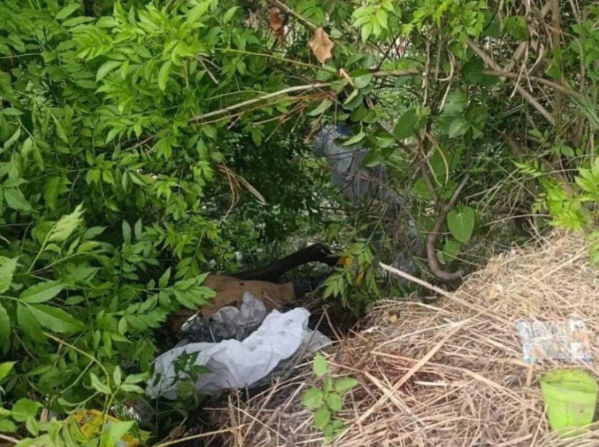 Revelan a qué iban Andy y Josué antes de ser asesinados en la colonia 14 de Enero