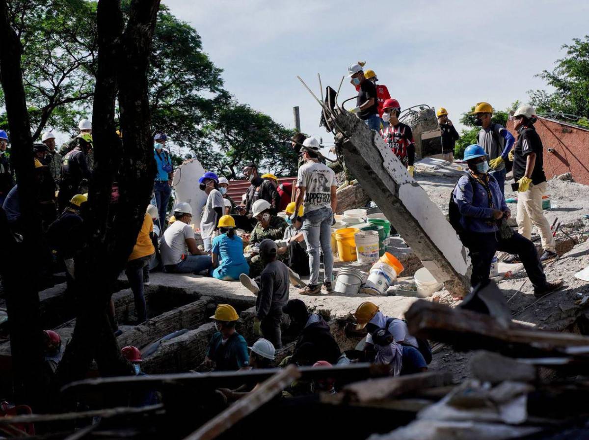 Abogada muere abrazando a su perrito durante el terremoto en Colombia