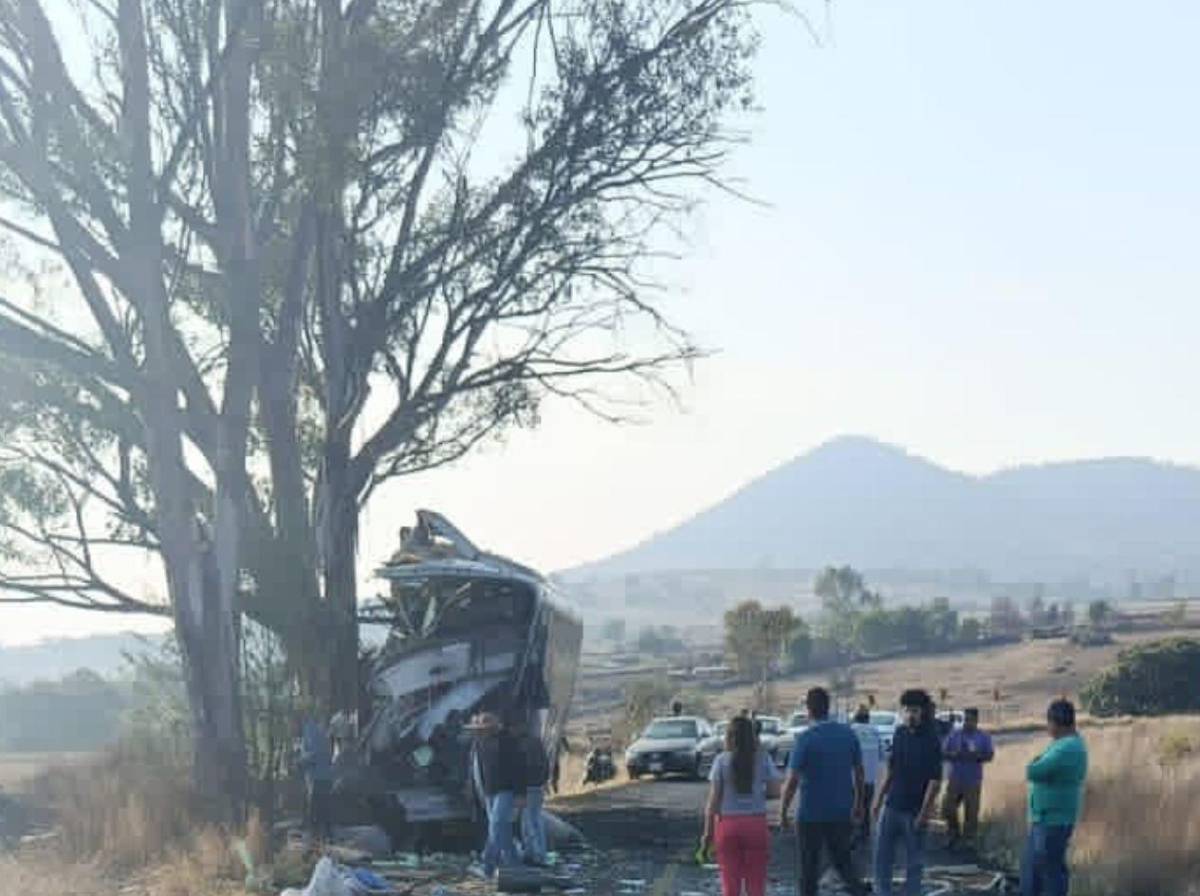 Tragedia en carretera: al menos nueve muertos tras impactar autobús contra un árbol