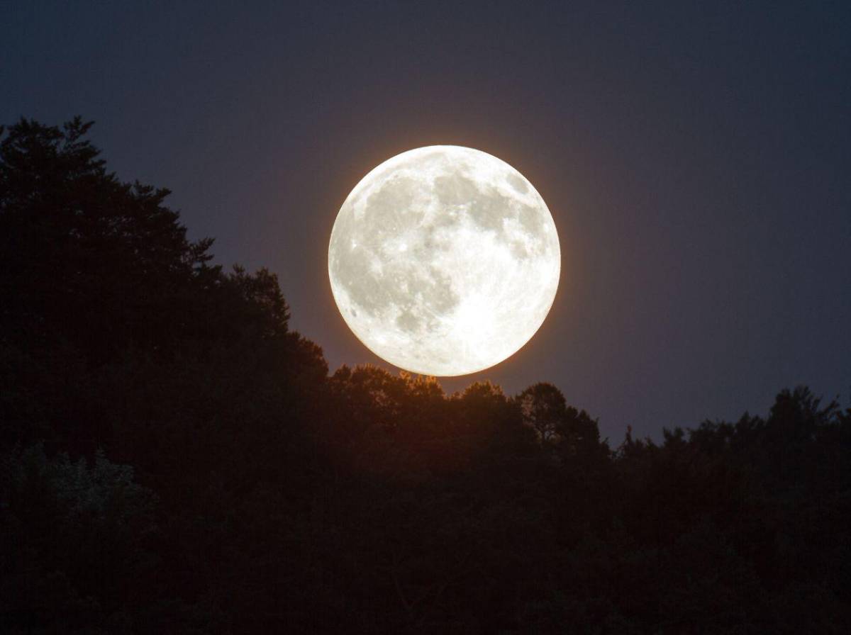 Luna de Ciervo 2026: ¿cuándo será y cómo verla en Honduras?