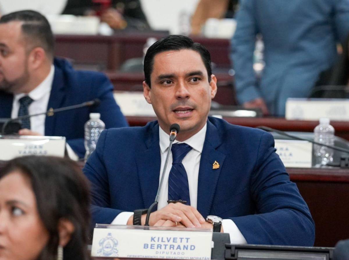 ¿Quiénes integran la comisión especial de juicio político contra Johel Zelaya?