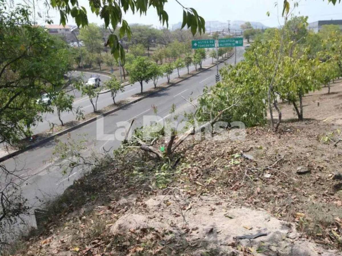 El recorrido de Jonathan y José antes de la tragedia en el anillo periférico de Tegucigalpa