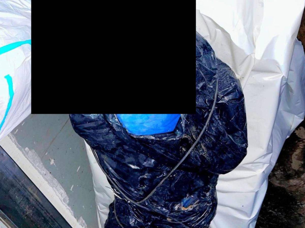 Surge macabra hipótesis sobre asesinato de la estudiante Merary Tomé