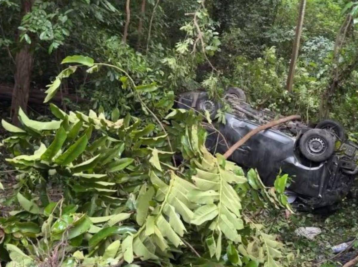 Identifican a conductor que murió al caer 'rapidito' a un abismo en Cofradía