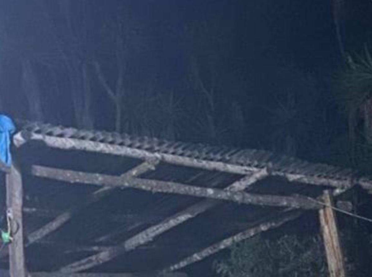 Estuvieron presos: surge hipótesis sobre el asesinato de tres hermanos en Lempira