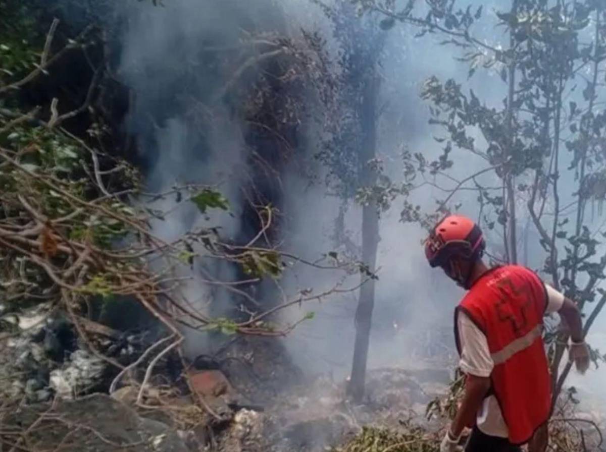 Muere reconocido periodista de Telemundo en accidente de helicóptero