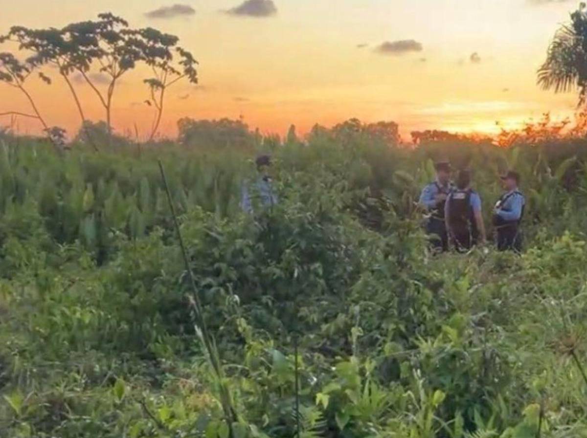 Caso Yorleni Alas: familiares siguen esperando resultados de pruebas forenses