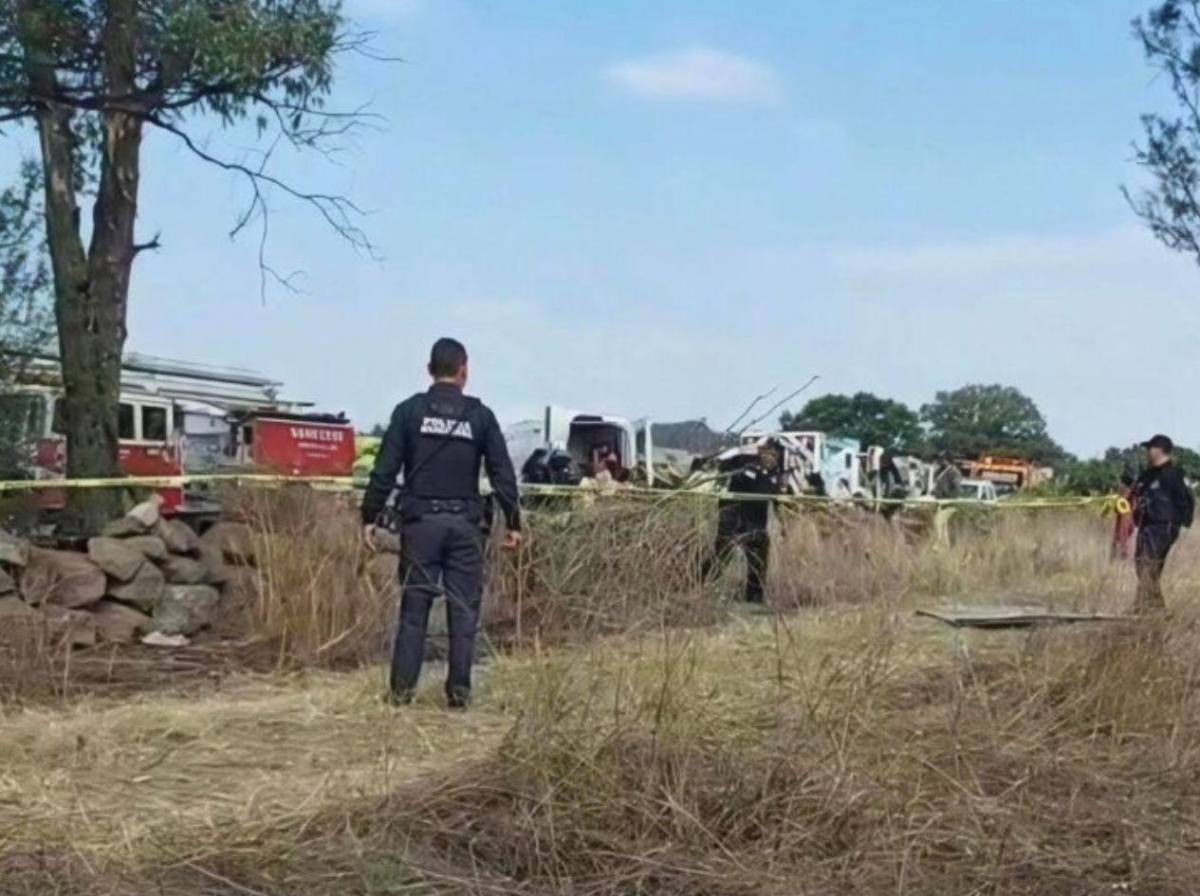 Tragedia en carretera: al menos nueve muertos tras impactar autobús contra un árbol