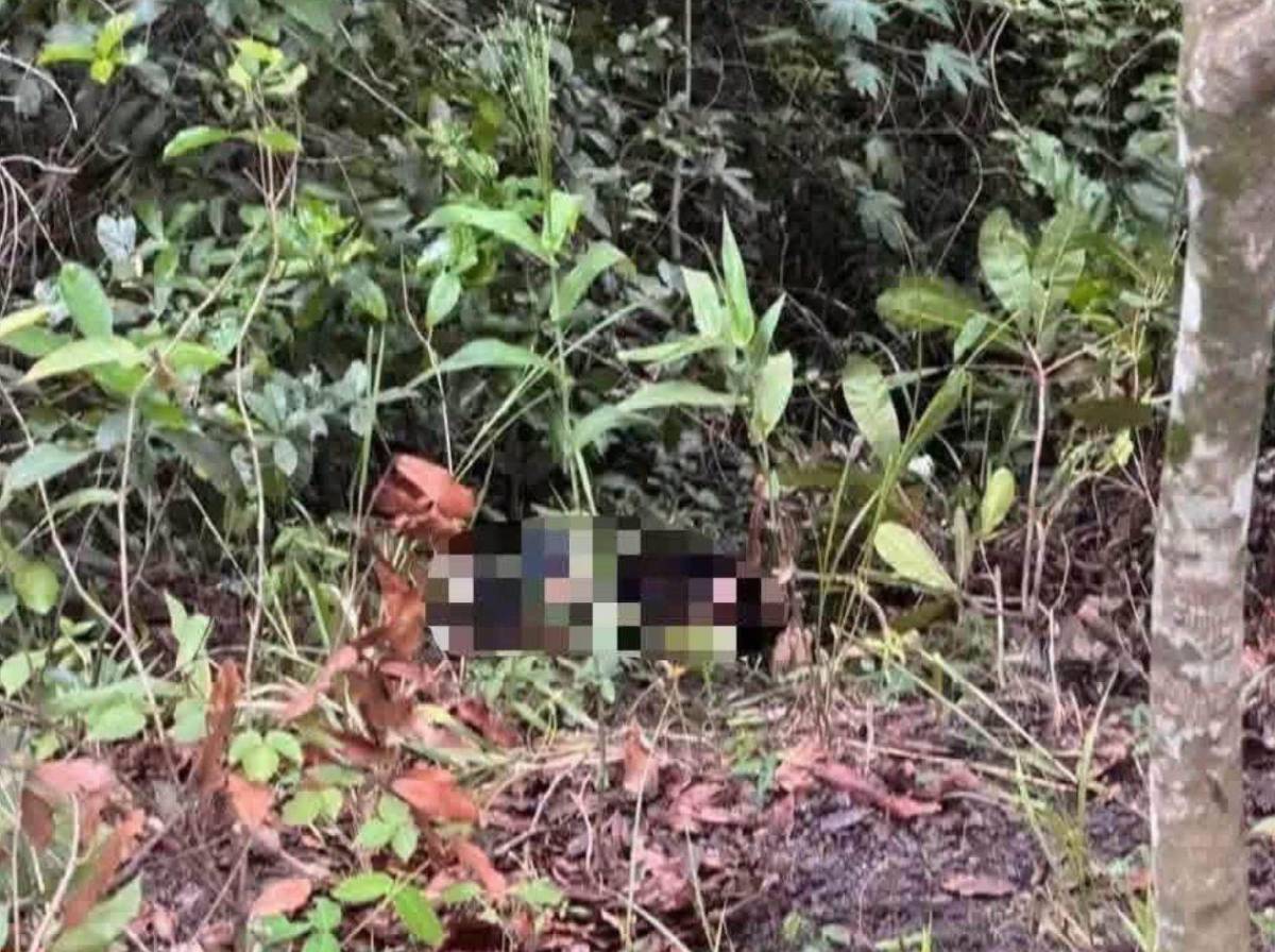 ¿Quién era el jovencito hallado muerto en calle hacia El Merendón?
