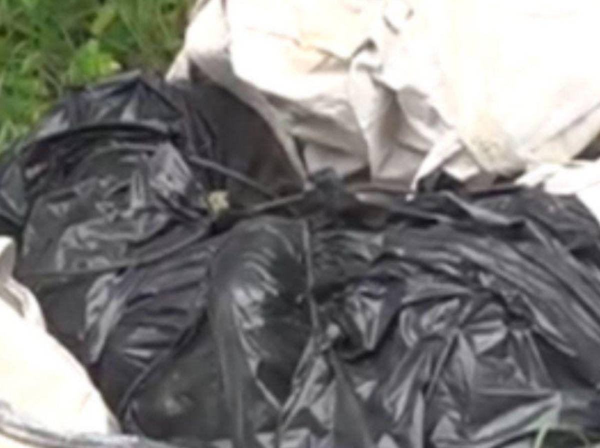 Surge macabra hipótesis sobre asesinato de la estudiante Merary Tomé