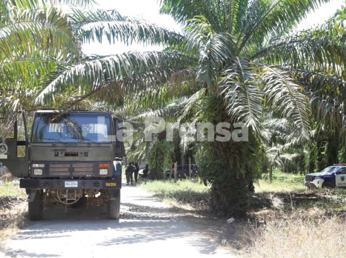 Me pusieron un fusil: sobreviviente de masacre en Colón