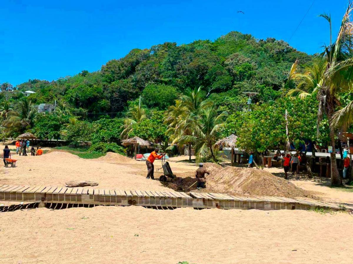 Toneladas de sargazo cubren las bellas playas en la isla de Roatán