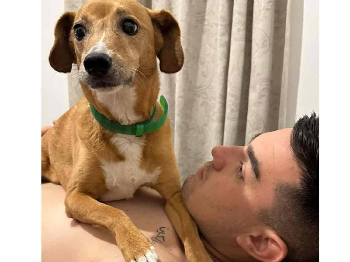 Árbitro murió en accidente; el desgarrador mensaje de su novia tras la noticia