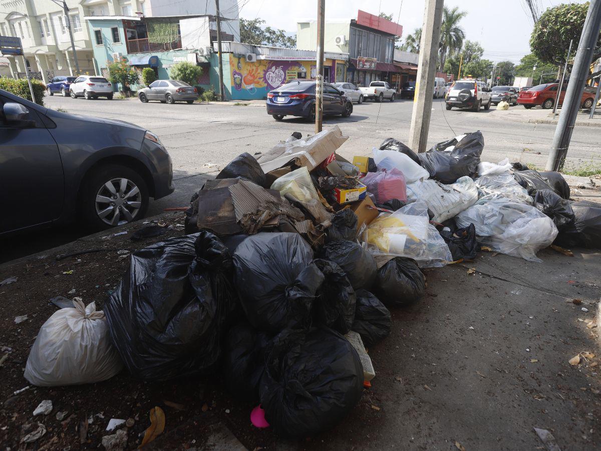 San Pedro Sula a las puertas de una emergencia ambiental por cantidad de basura en las calles