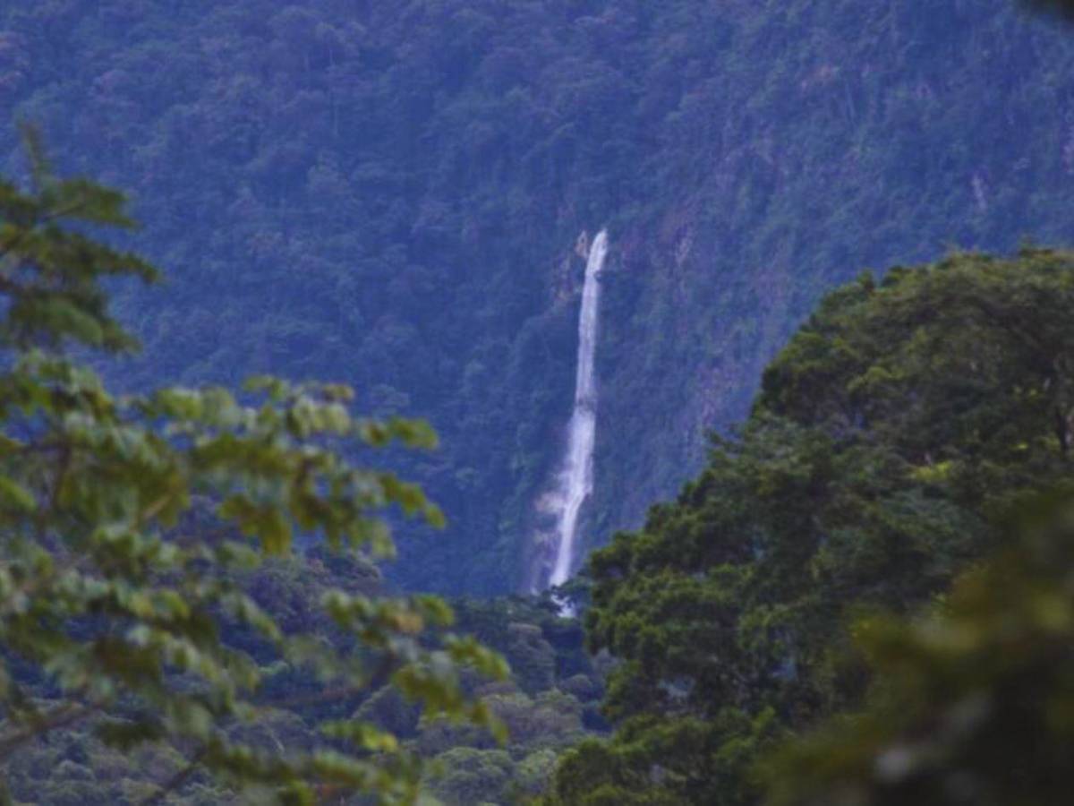 Rafting, senderismo y bosque, la propuesta del destino Atlántida