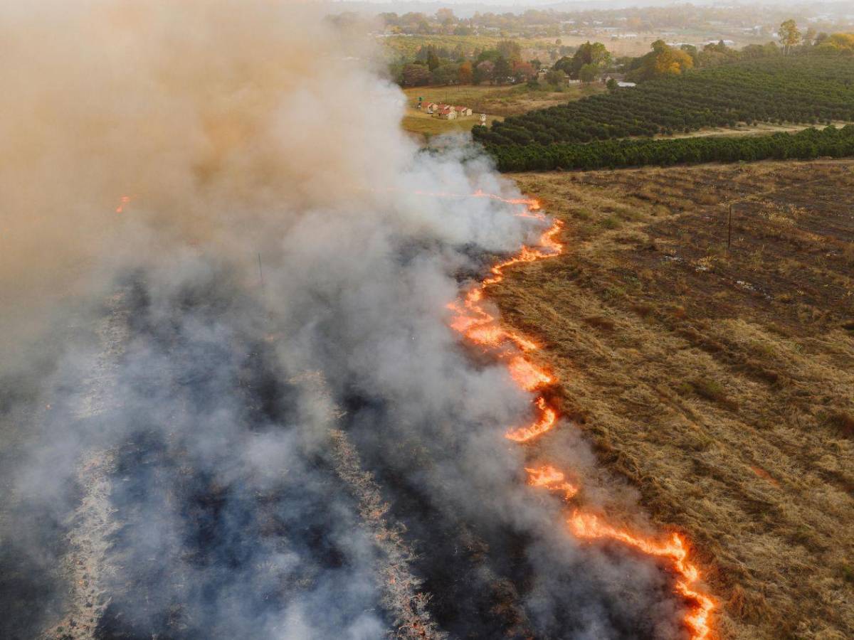 Histórico: la Tierra enfrenta bancarrota hídrica, según la ONU