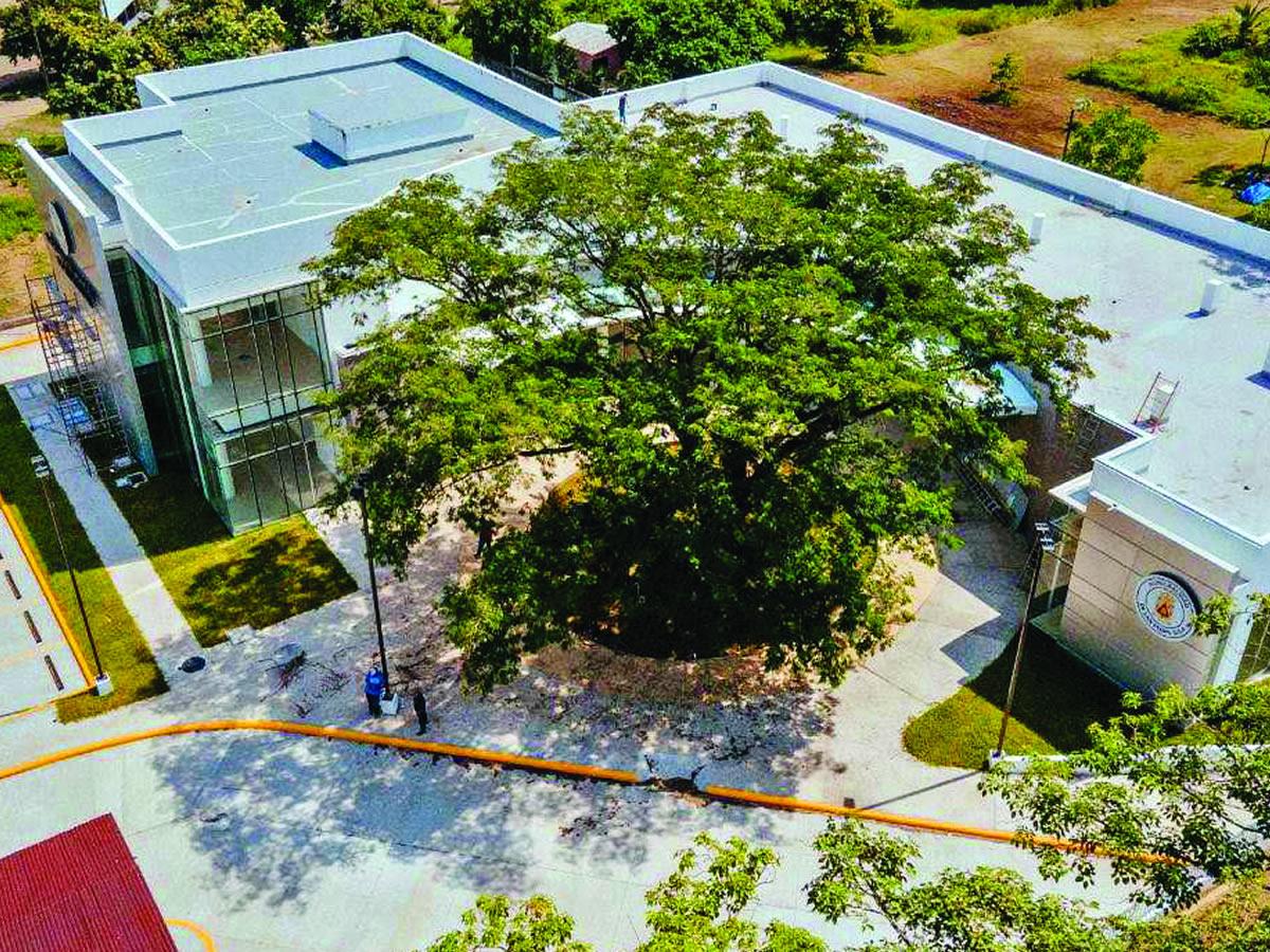 Nueve meses después estará listo macrodistrito de Cofradía