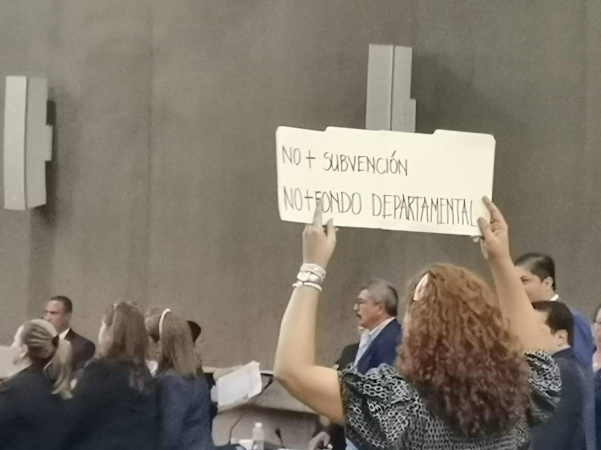 Una diputada sostiene una pancarta que pide derogar el fondo departamental.