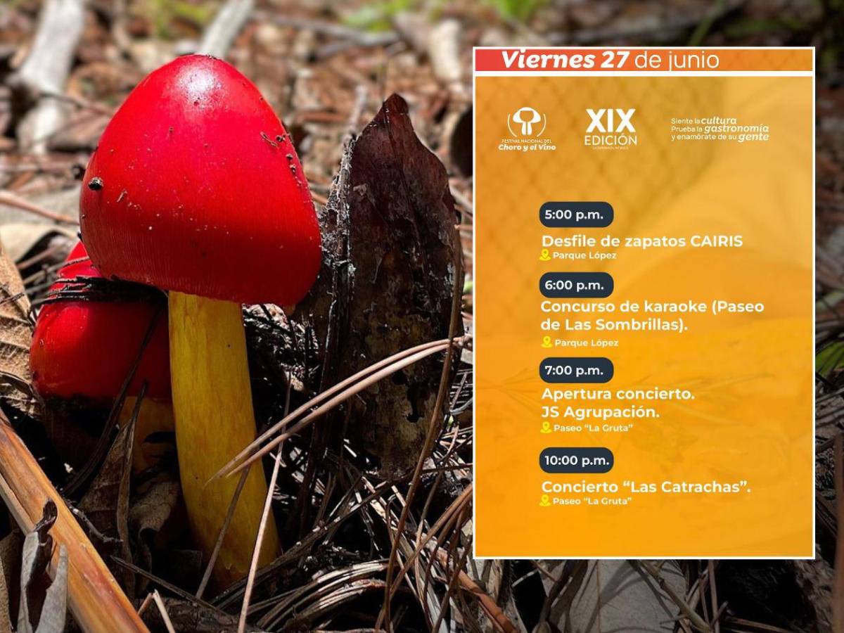 Dos eventos para conocer el sabor del bosque y el vuelo a la libertad en Copán e Intibucá