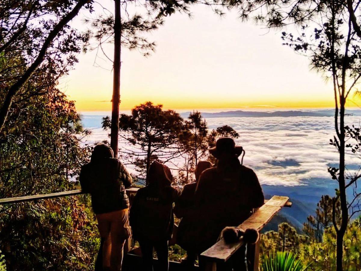 De bosques nublados a playas vírgenes: así de bellos son estos cinco parques nacionales