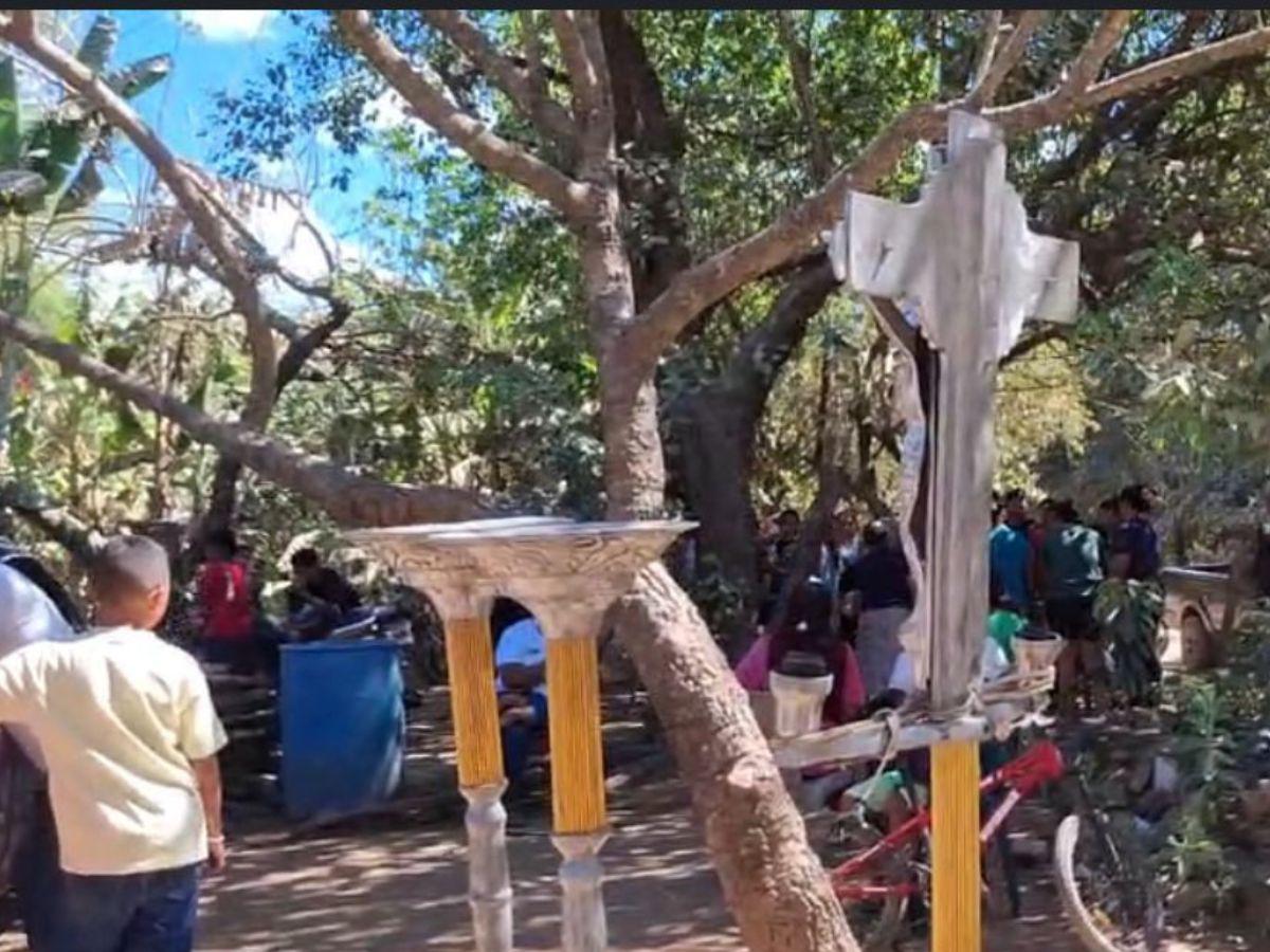 Hombre muere tras ser atacado por un enjambre de abejas en Choluteca