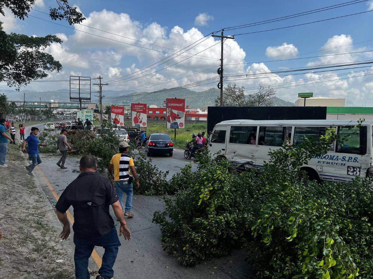 Inversionistas de Koriun que destruyeron 5 carros de la Atic podrían ir a la cárcel