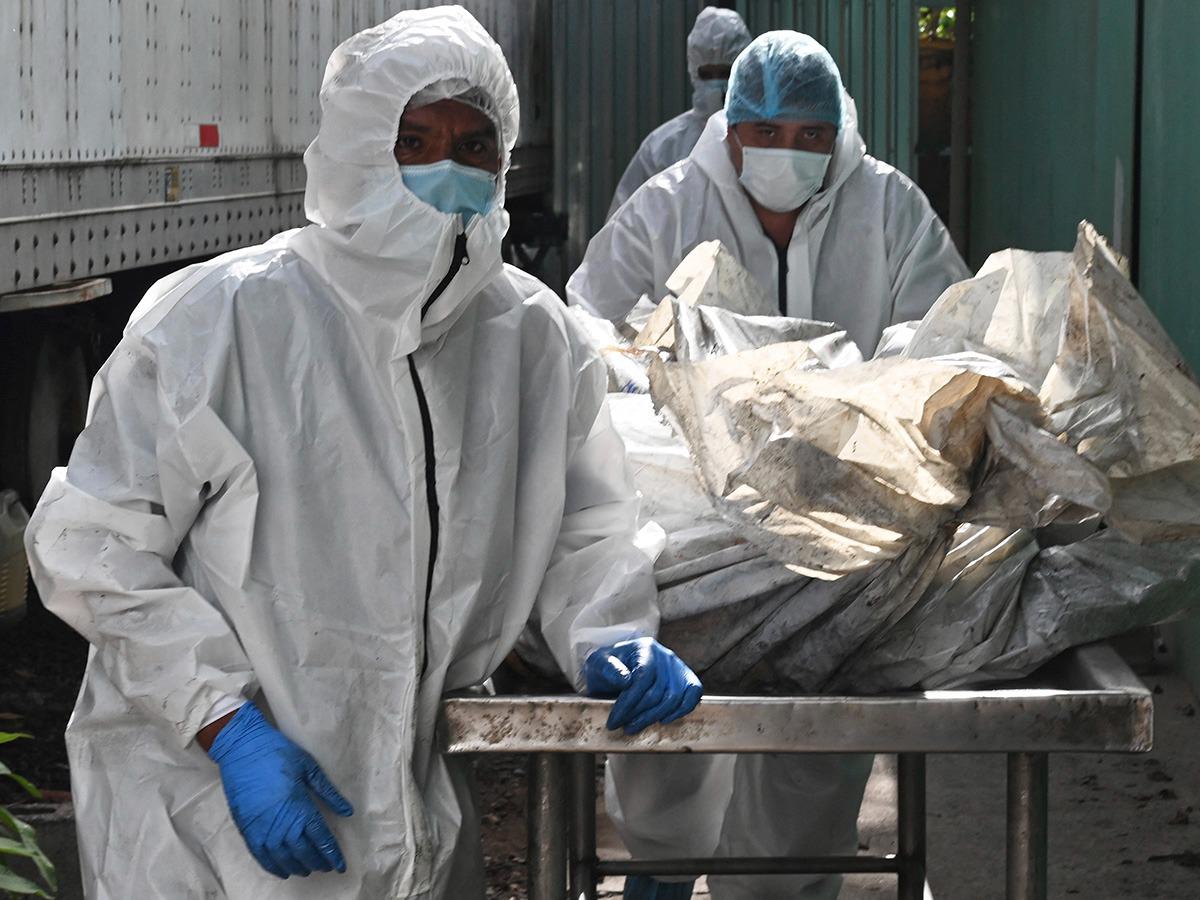 46 mujeres murieron en la masacre carcelaria ocurrida el martes 20 de junio en PNFAS, según cifras oficiales proporcionadas por el Ministerio Público de Honduras.