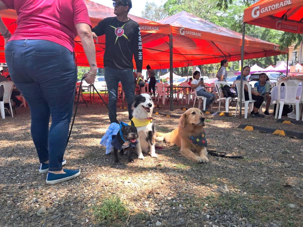 Angel Fest: un espacio fitness para compartir con la familia y mascotas