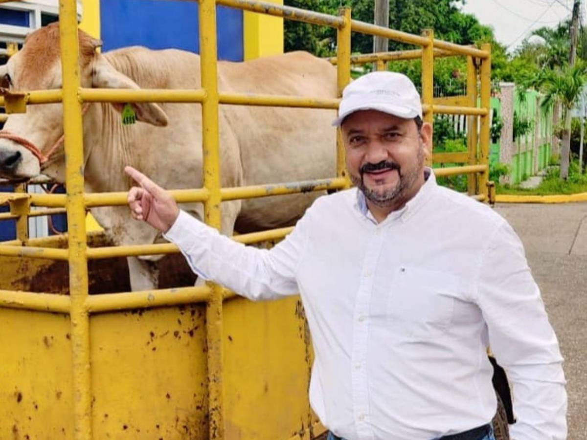 Grandes caudillos que están quedando afuera del Congreso Nacional