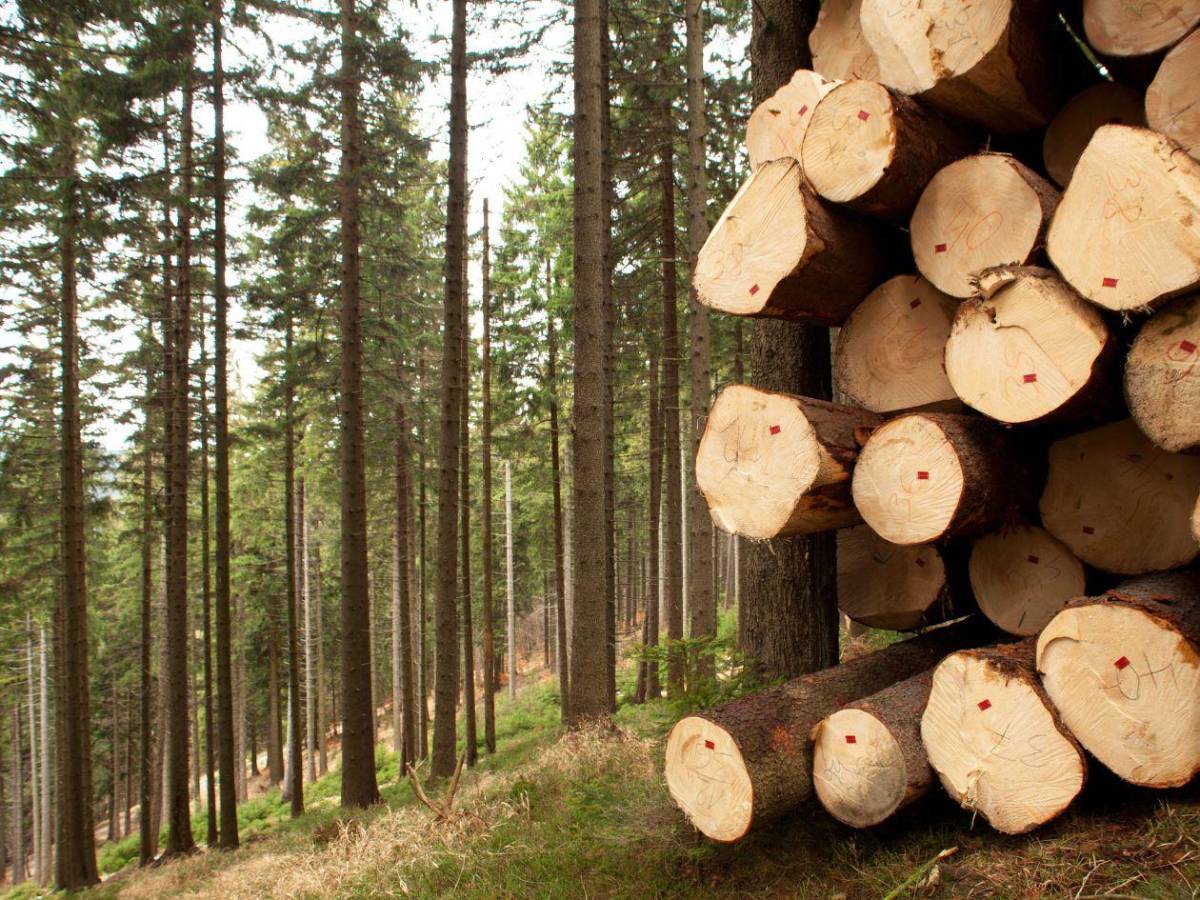 Histórico: la Tierra enfrenta bancarrota hídrica, según la ONU