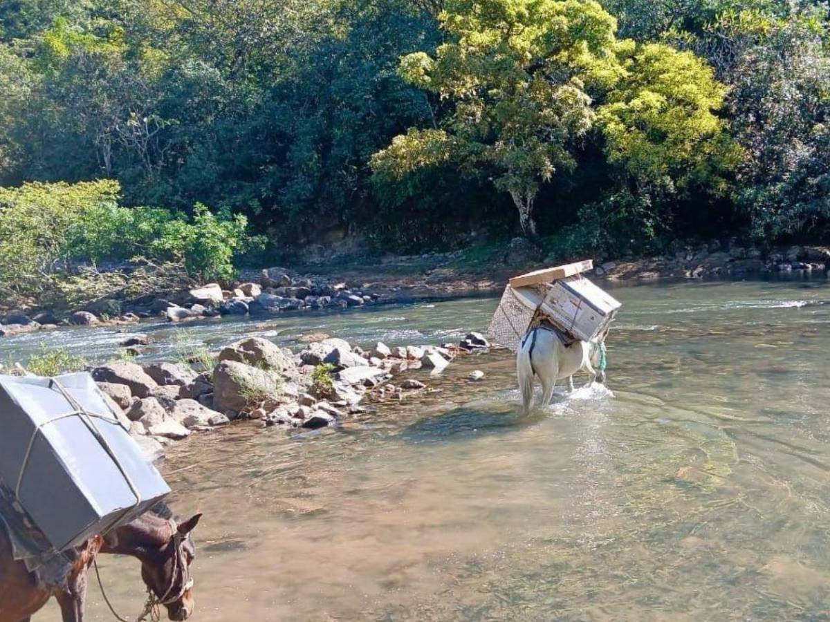 Fotos curiosas de cómo trasladan las maletas electorales a los rincones de Honduras