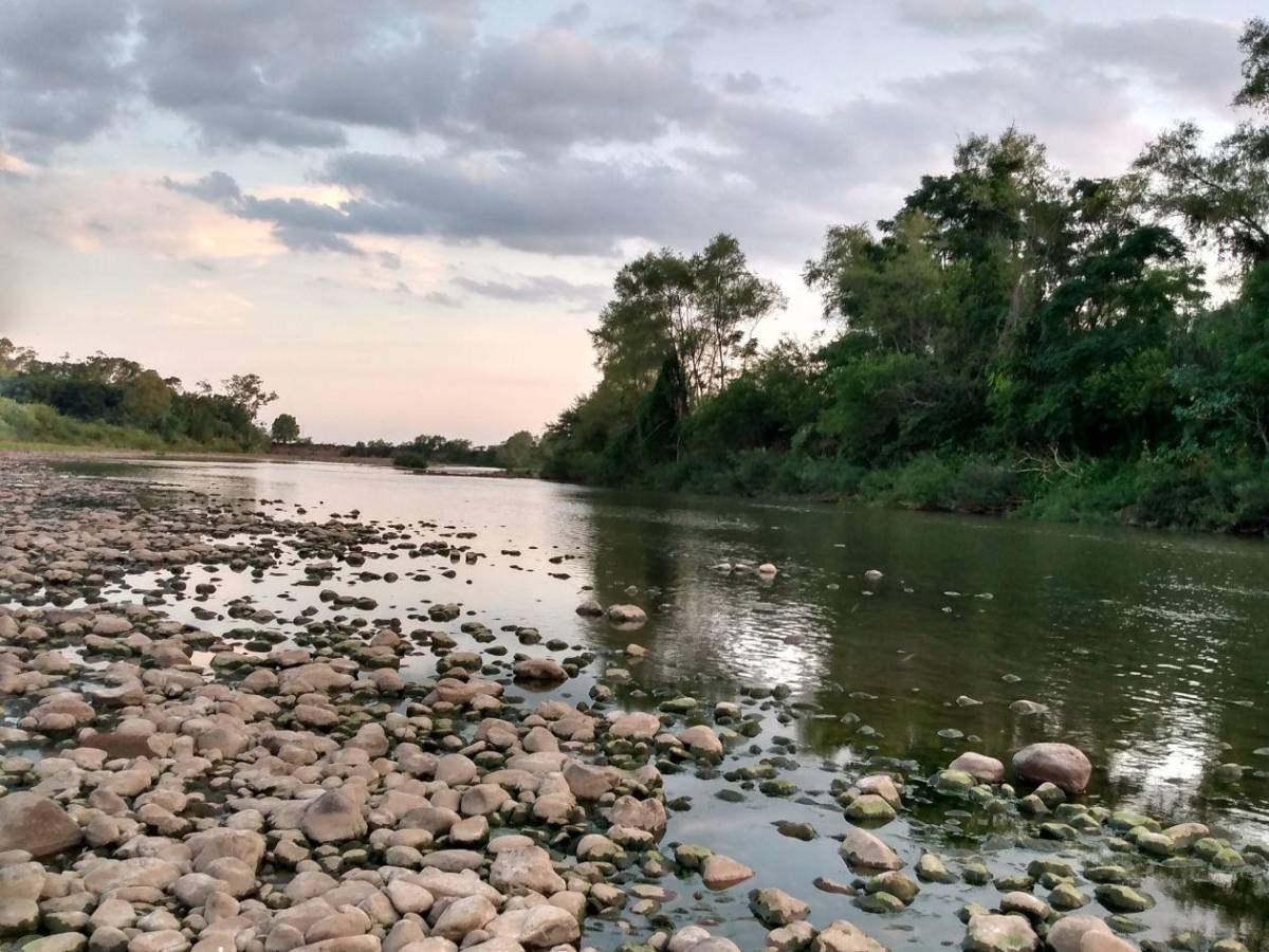 Histórico: la Tierra enfrenta bancarrota hídrica, según la ONU