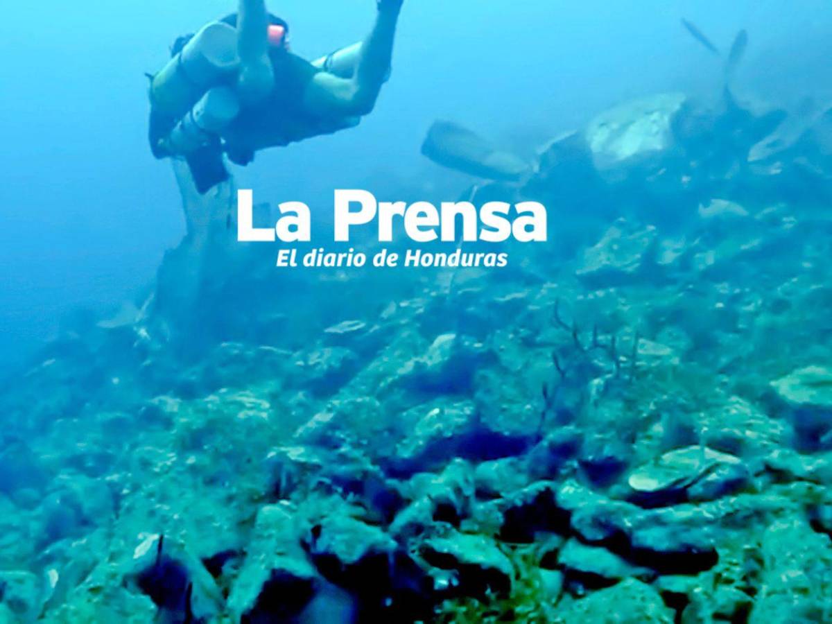 Fotos inéditas: restos del avión del vuelo LNH-018 hundido en Roatán